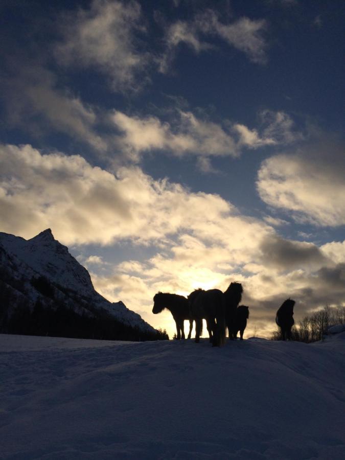 Flo Lofoten Nature Escape Valberg Eksteriør billede